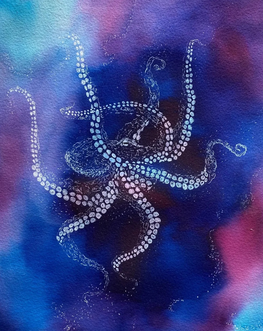 Pul-sos: pulpo blanco en tinta y acuarela sobre fondo azul y magenta